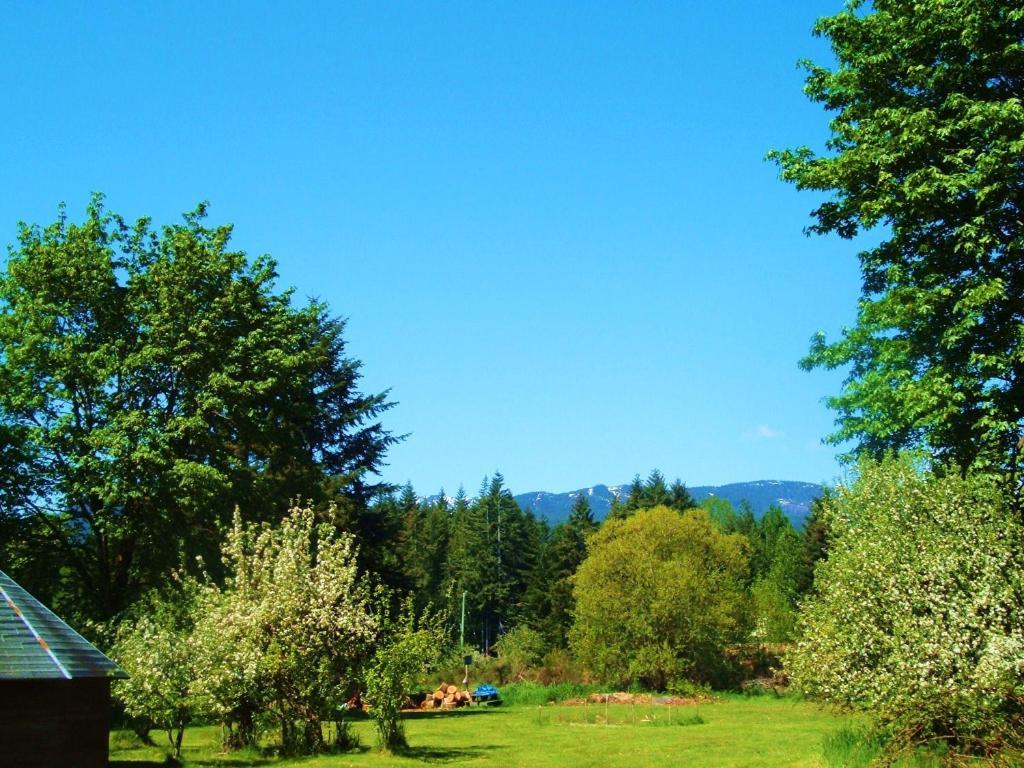 Cumberland Lake Trail Guesthouse المظهر الخارجي الصورة