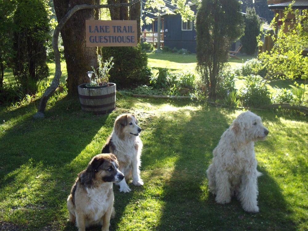 Cumberland Lake Trail Guesthouse المظهر الخارجي الصورة